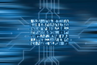 九游游戏中心-NBA球队市场营销数字化转型实践探索，nba营销模式