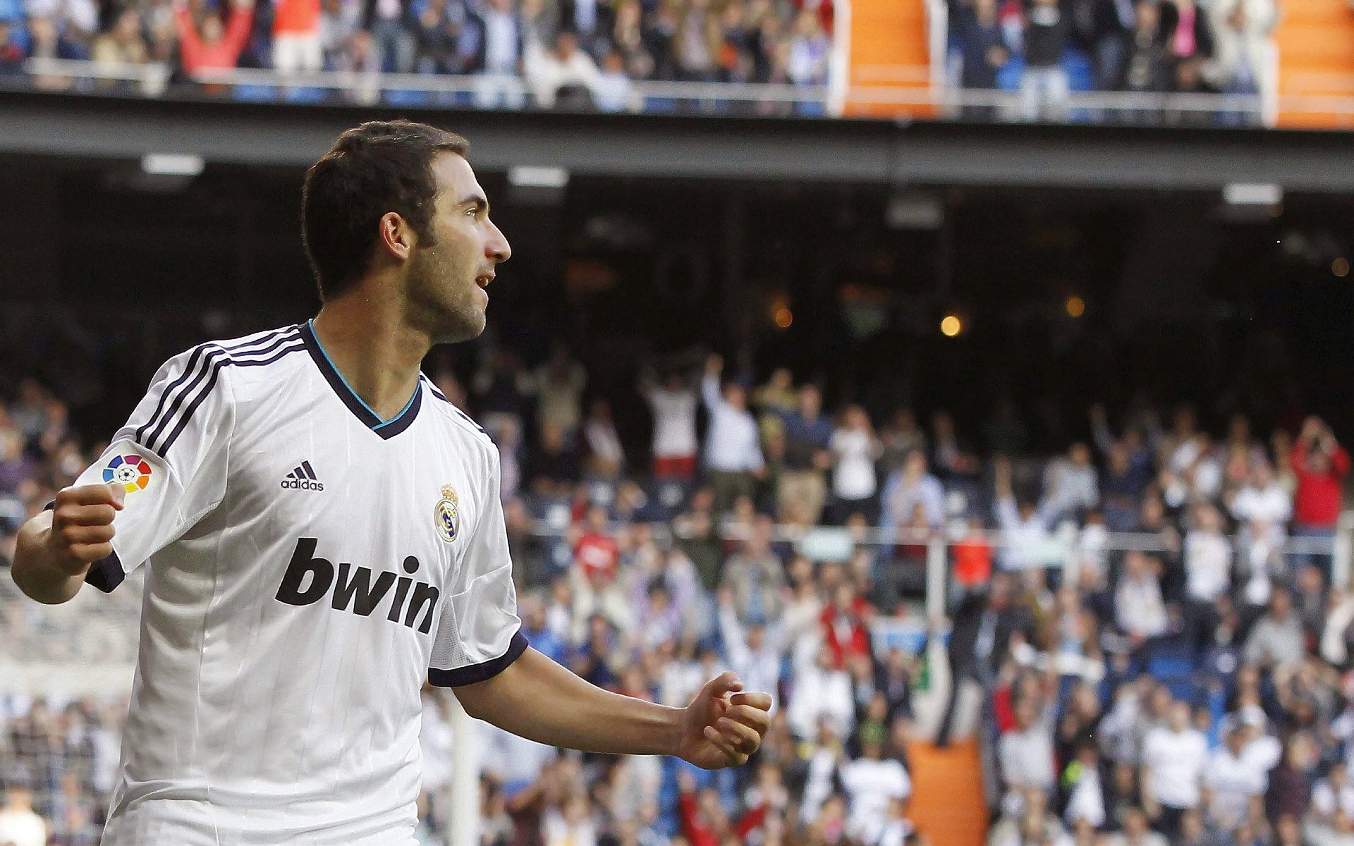 中国足球基层足球场地建设现状,国内专业足球场建设情况